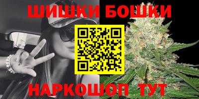 спиды Камышлов