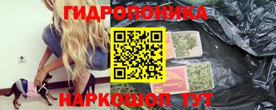 спиды Камышлов