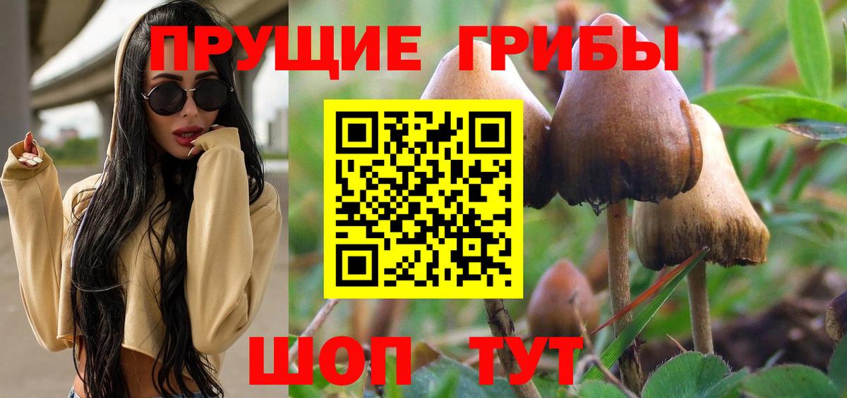 Краснознаменск  наркота  Галлюциногенные грибы GOLDEN TEACHER  Вход с VPN  Галлюциногенные грибы GOLDEN TEACHER 