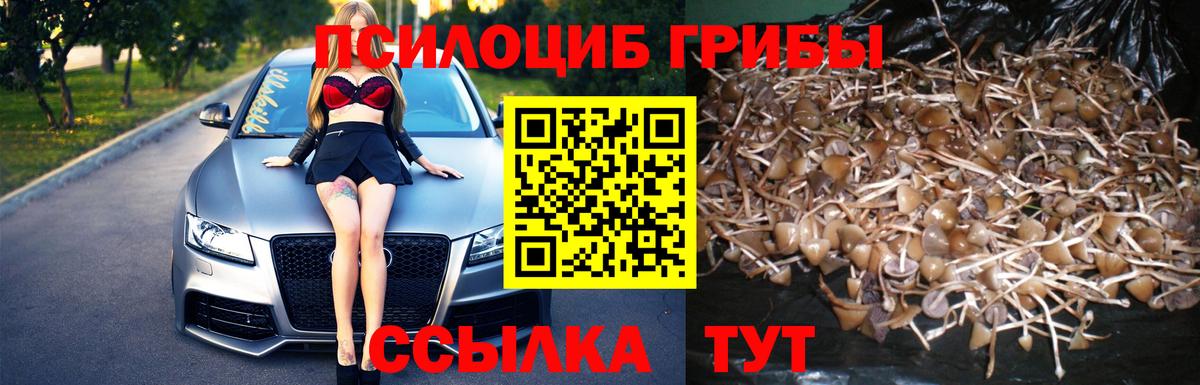 Псилоцибиновые грибы мухоморы Краснознаменск